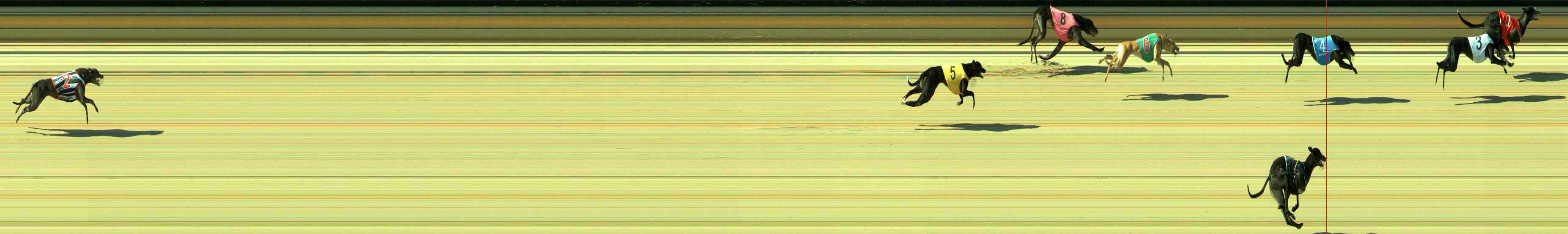 Photo finish for Sale Race 9