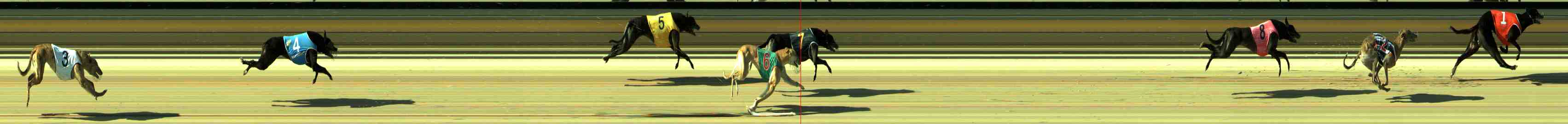 Photo finish for Sale Race 10