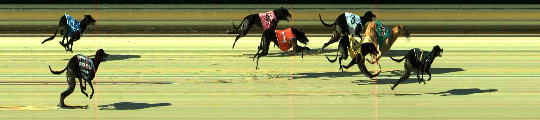 Photo finish for Sale Race 11