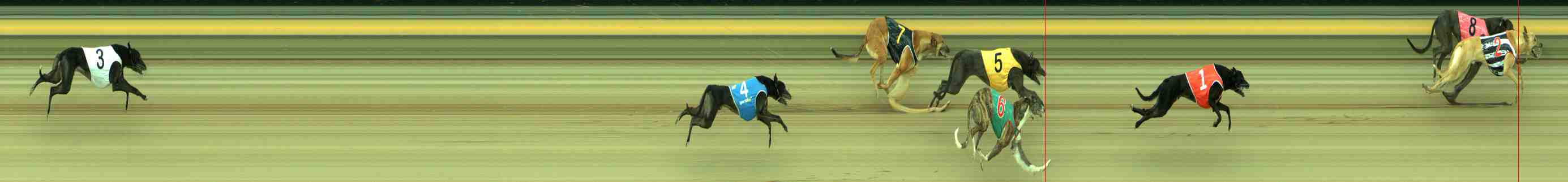 Photo finish for Sale Race 1