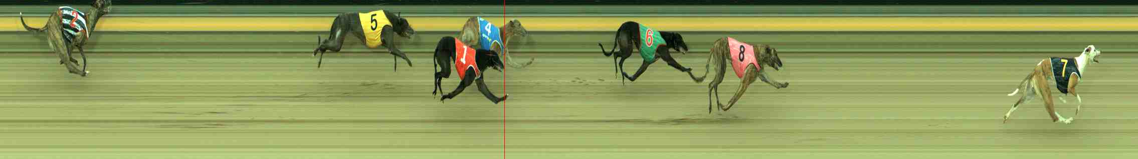 Photo finish for Sale Race 2