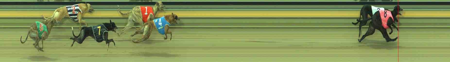 Photo finish for Sale Race 3