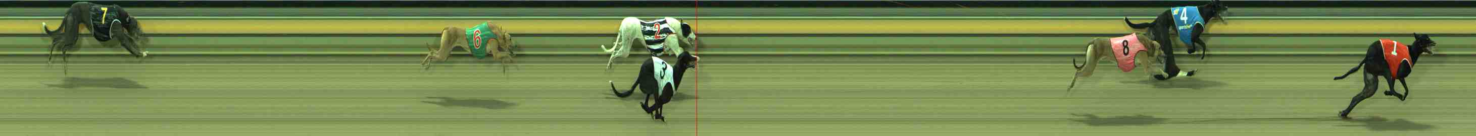 Photo finish for Sale Race 4