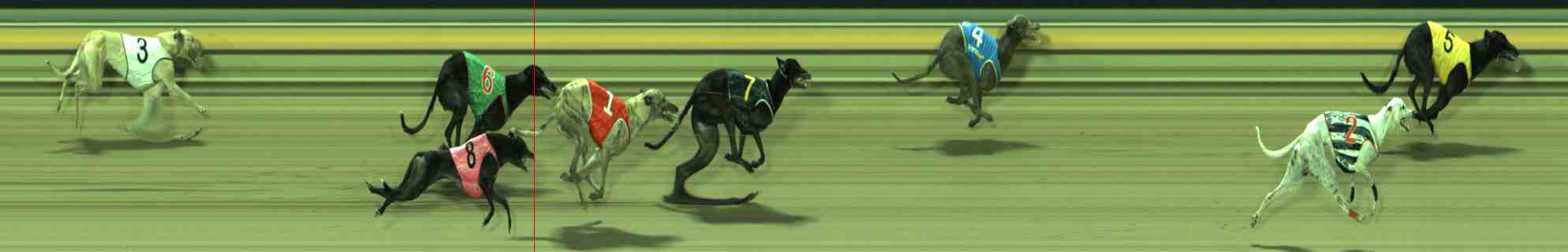 Photo finish for Sale Race 6