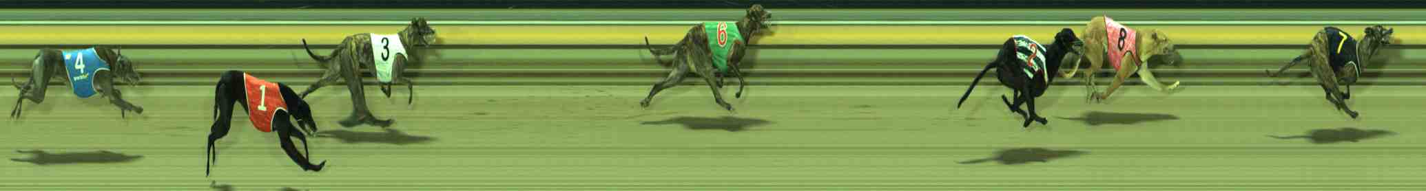 Photo finish for Sale Race 7