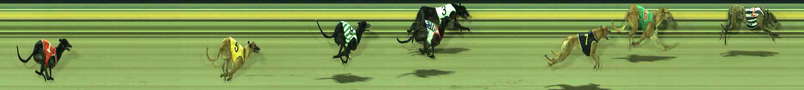 Photo finish for Sale Race 8