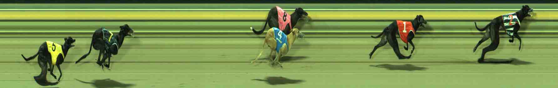 Photo finish for Sale Race 9