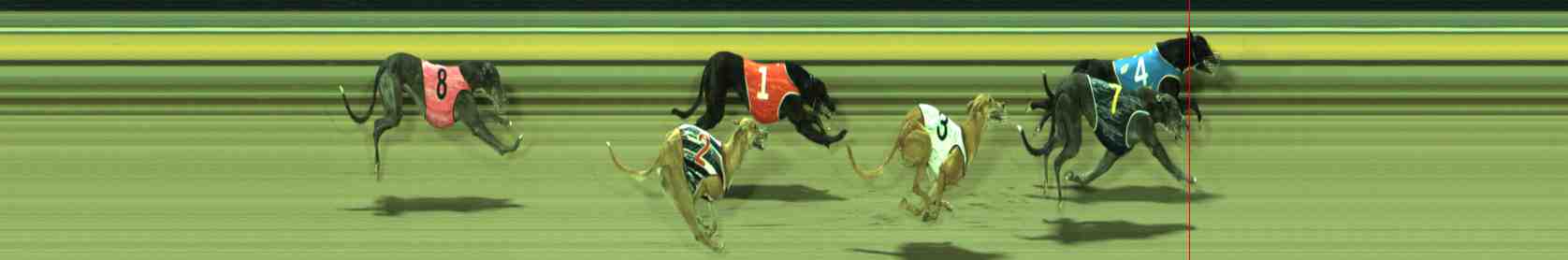 Photo finish for Sale Race 10