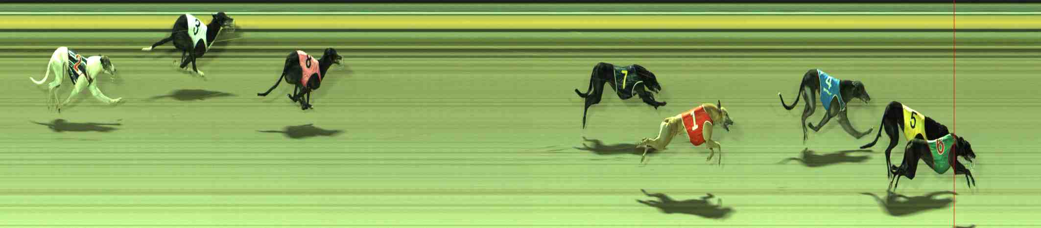 Photo finish for Sale Race 11