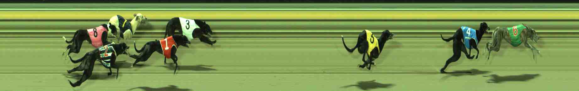 Photo finish for Sale Race 12