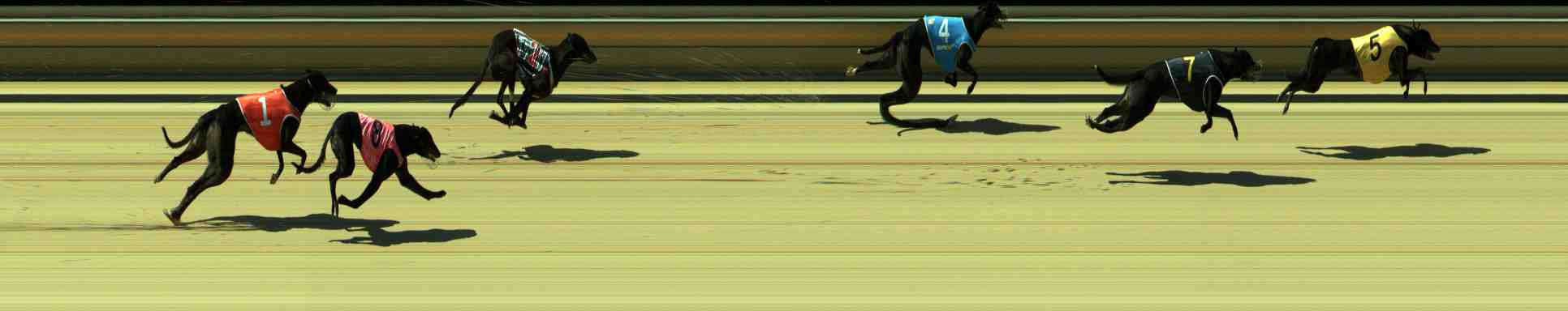 Photo finish for Sale Race 1