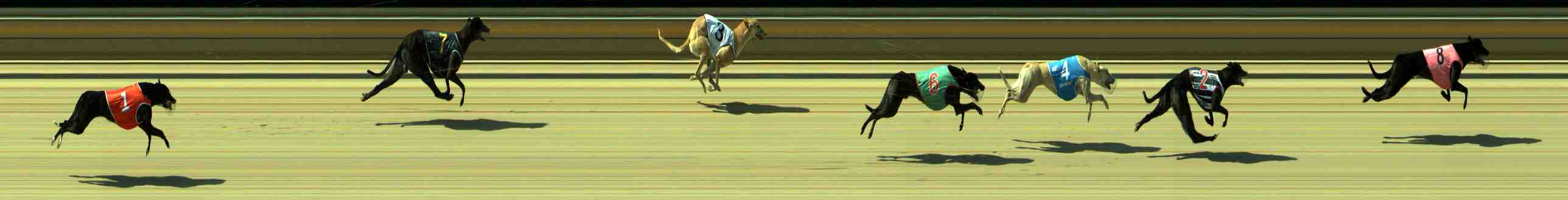 Photo finish for Sale Race 3