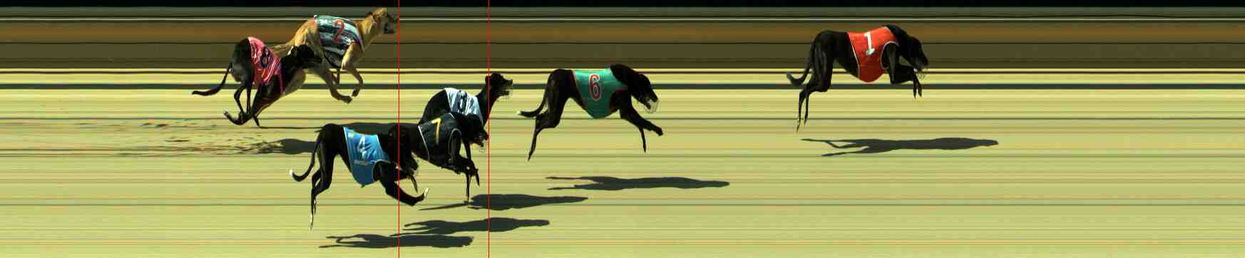 Photo finish for Sale Race 4
