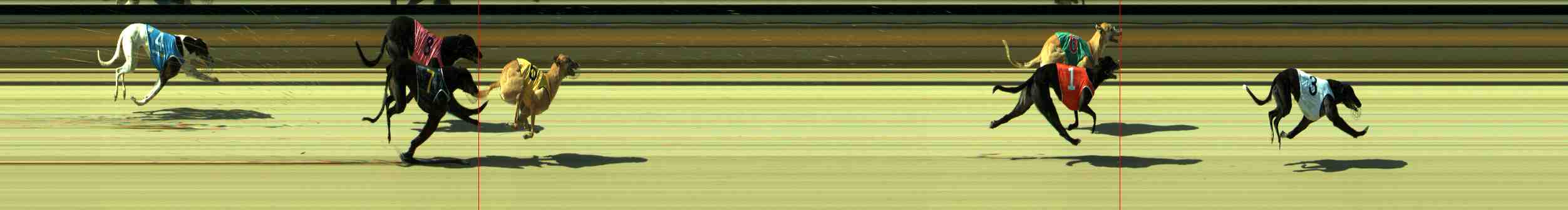 Photo finish for Sale Race 5