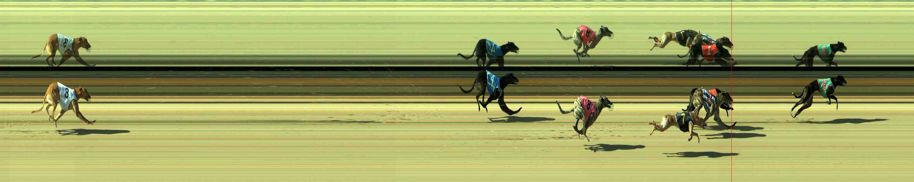 Photo finish for Sale Race 6