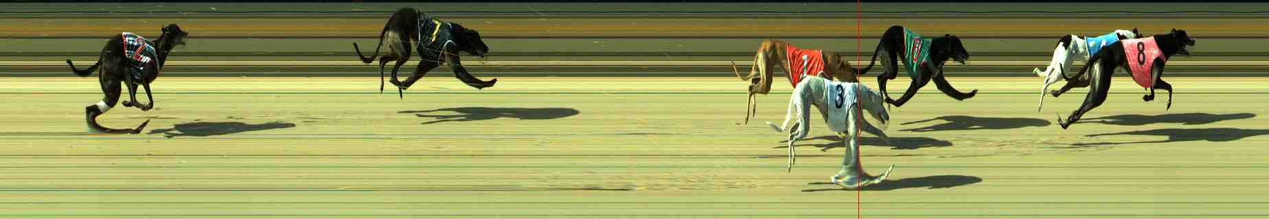 Photo finish for Sale Race 7