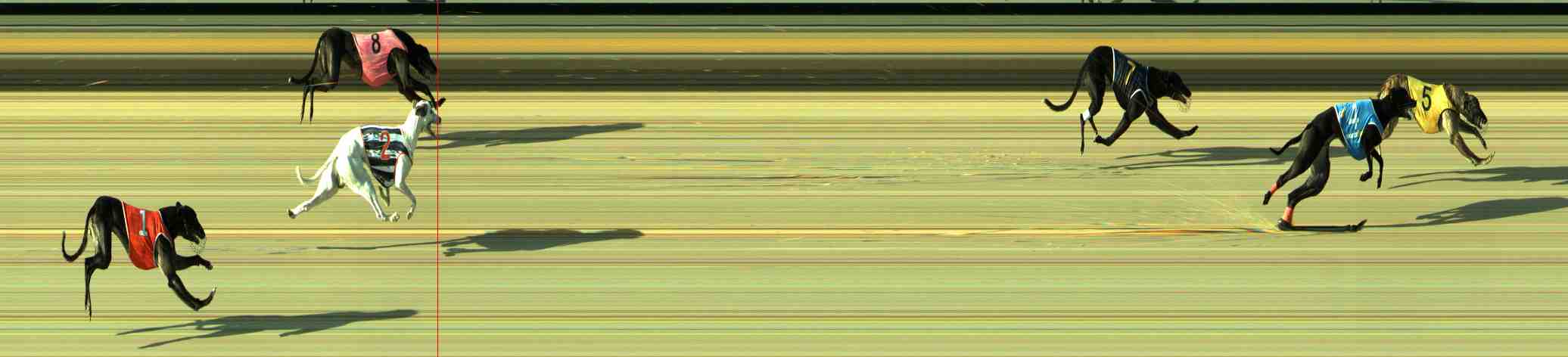 Photo finish for Sale Race 9