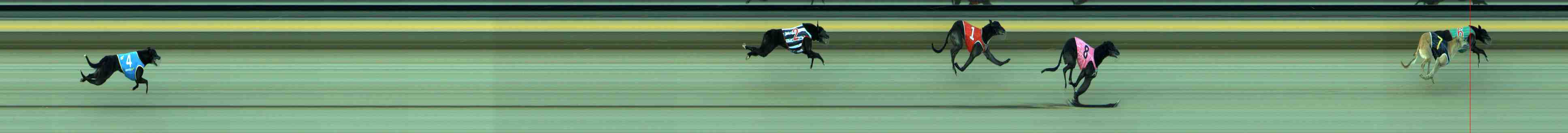 Photo finish for Sale Race 10