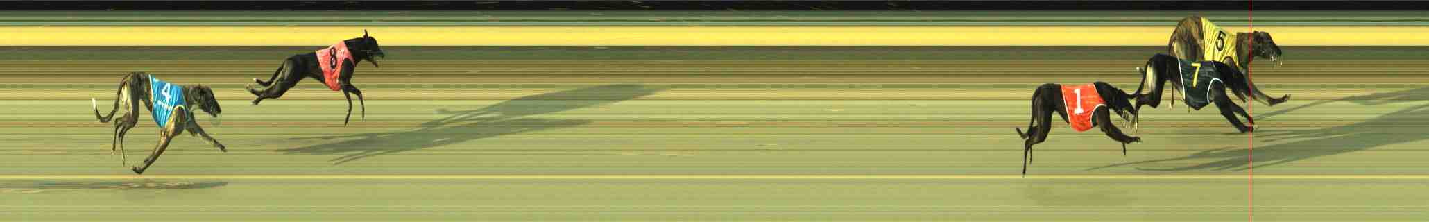 Photo finish for Sale Race 11