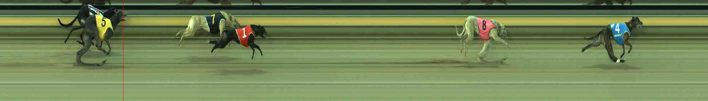 Photo finish for Sale Race 12
