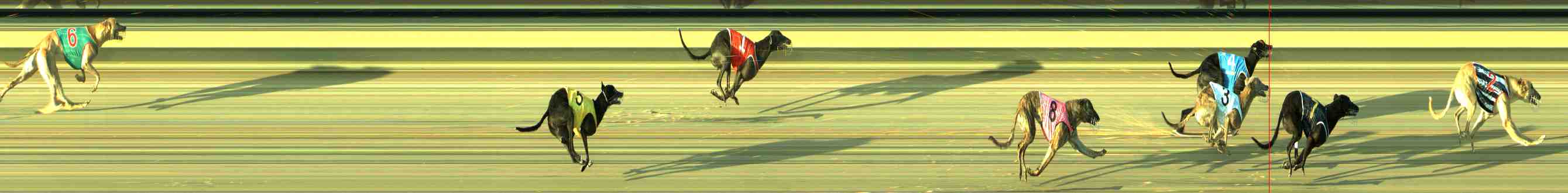 Photo finish for Sale Race 4