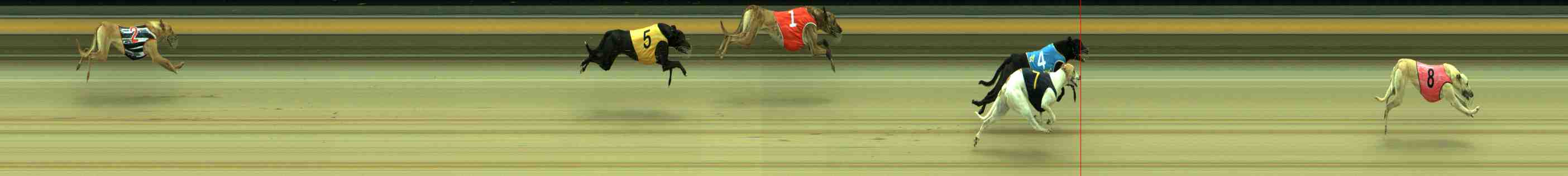 Photo finish for Sale Race 2