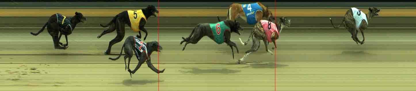 Photo finish for Sale Race 3