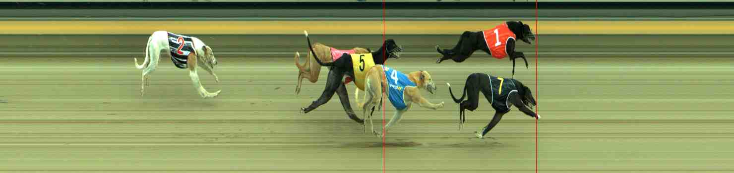 Photo finish for Sale Race 4