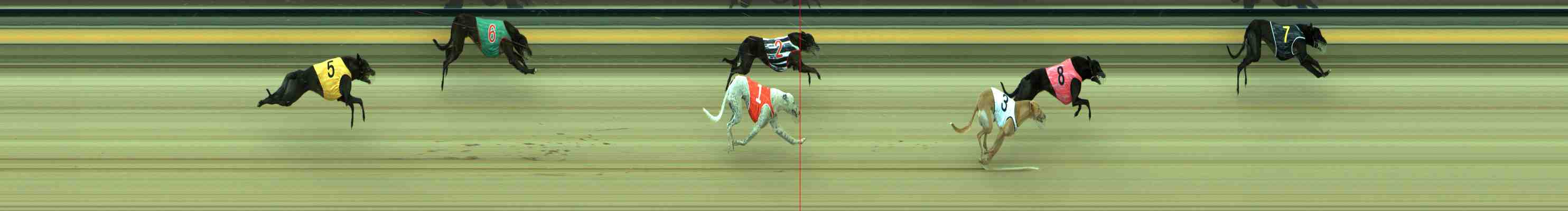 Photo finish for Sale Race 5