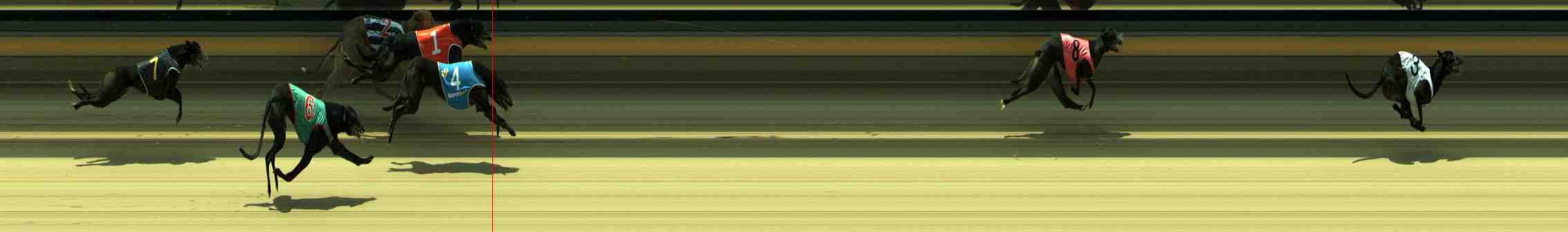 Photo finish for Sale Race 6