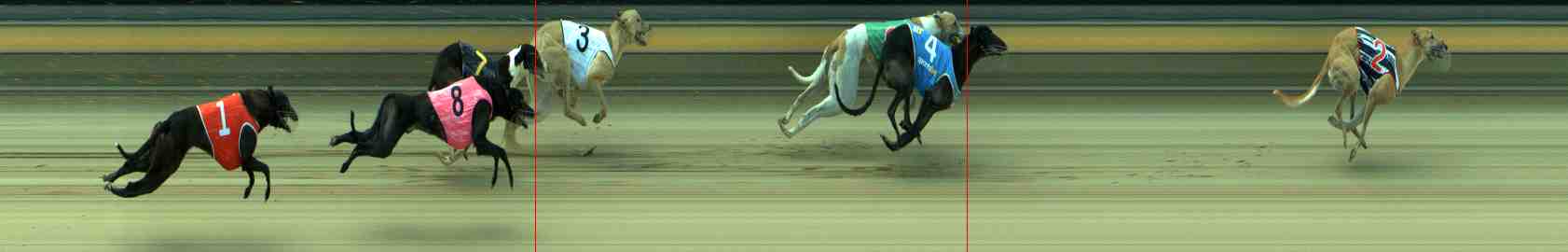 Photo finish for Sale Race 7