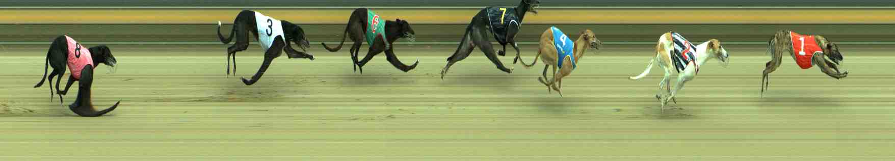 Photo finish for Sale Race 8