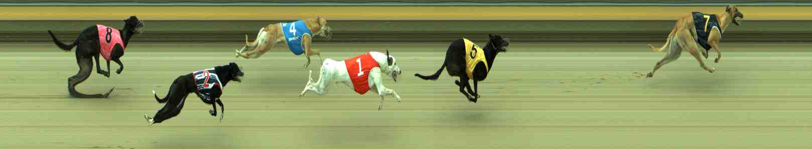 Photo finish for Sale Race 9