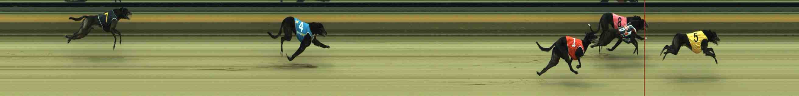 Photo finish for Sale Race 10