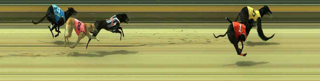 Photo finish for Sale Race 11