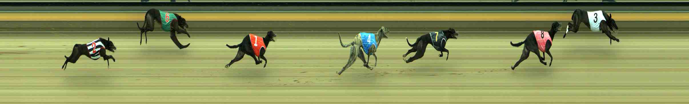Photo finish for Sale Race 12