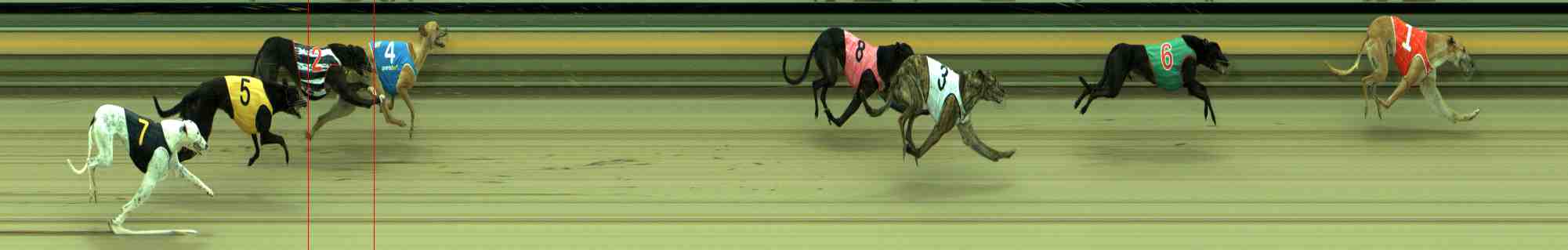 Photo finish for Sale Race 2