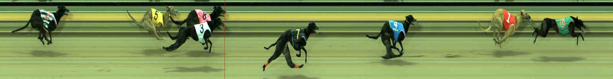 Photo finish for Sale Race 4