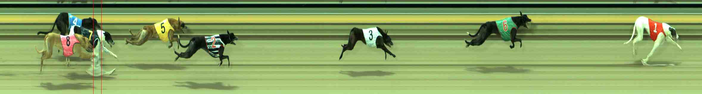 Photo finish for Sale Race 5