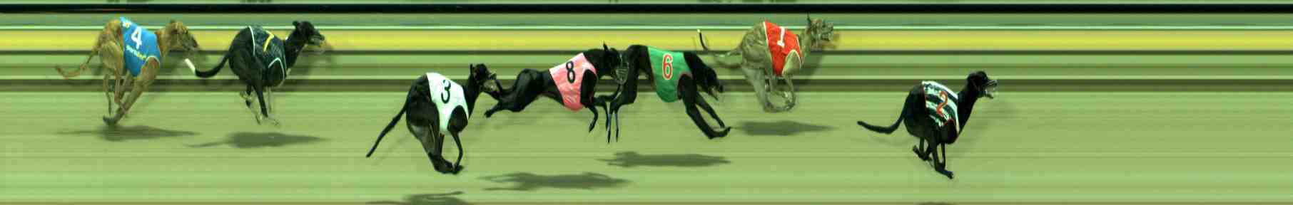 Photo finish for Sale Race 7