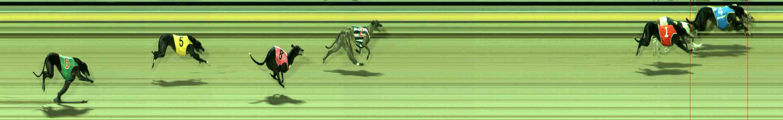 Photo finish for Sale Race 8