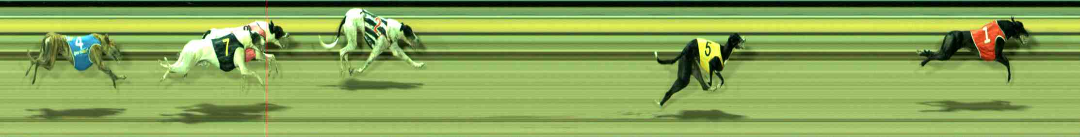 Photo finish for Sale Race 9