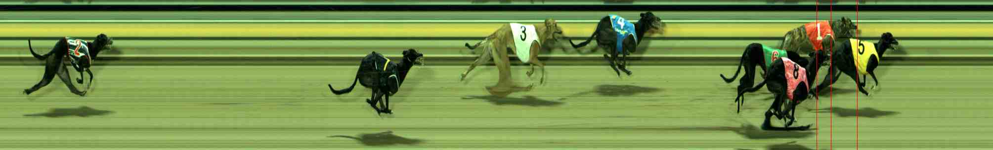 Photo finish for Sale Race 10