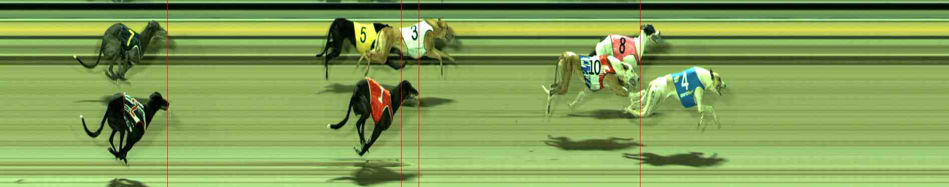 Photo finish for Sale Race 11