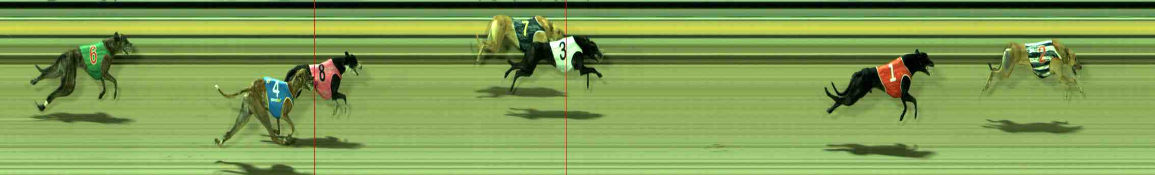 Photo finish for Sale Race 12