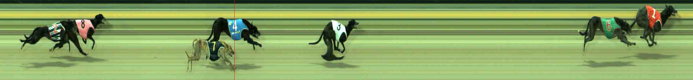 Photo finish for Sale Race 4