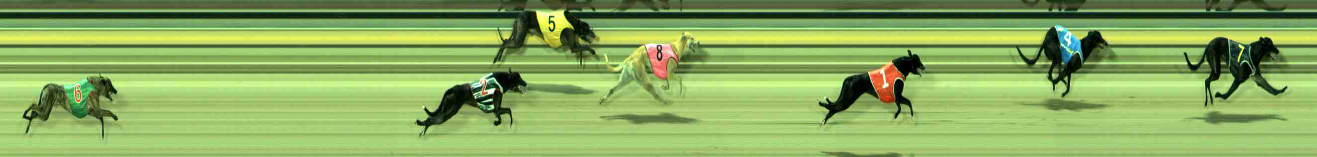 Photo finish for Sale Race 5
