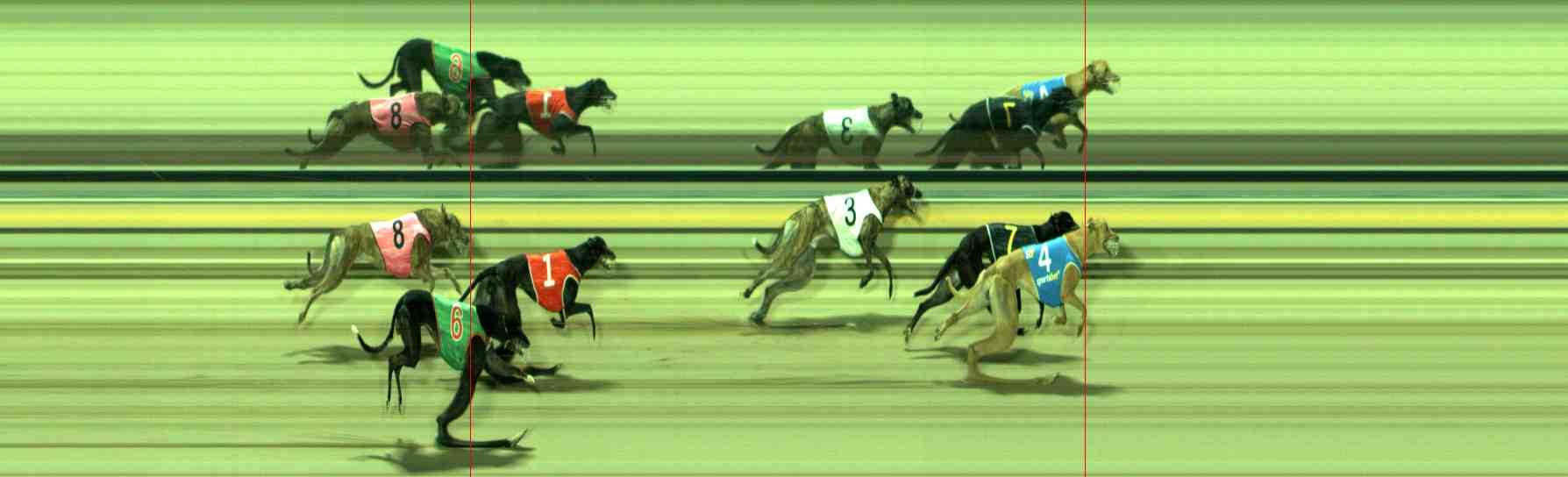 Photo finish for Sale Race 6