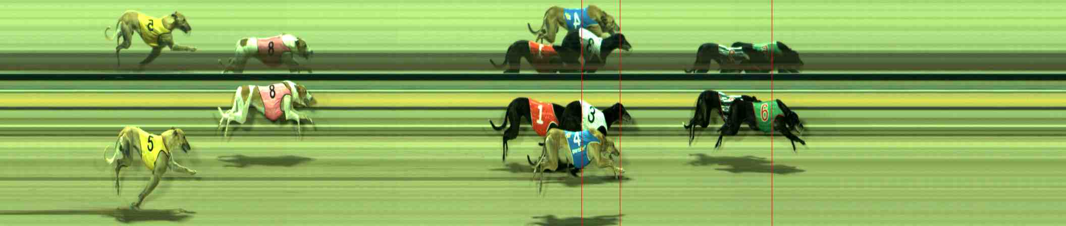 Photo finish for Sale Race 7