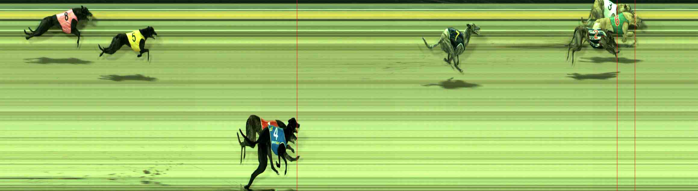 Photo finish for Sale Race 8